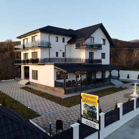 Casa De Vacanta Larisa Novaci-Străini Eksteriør billede