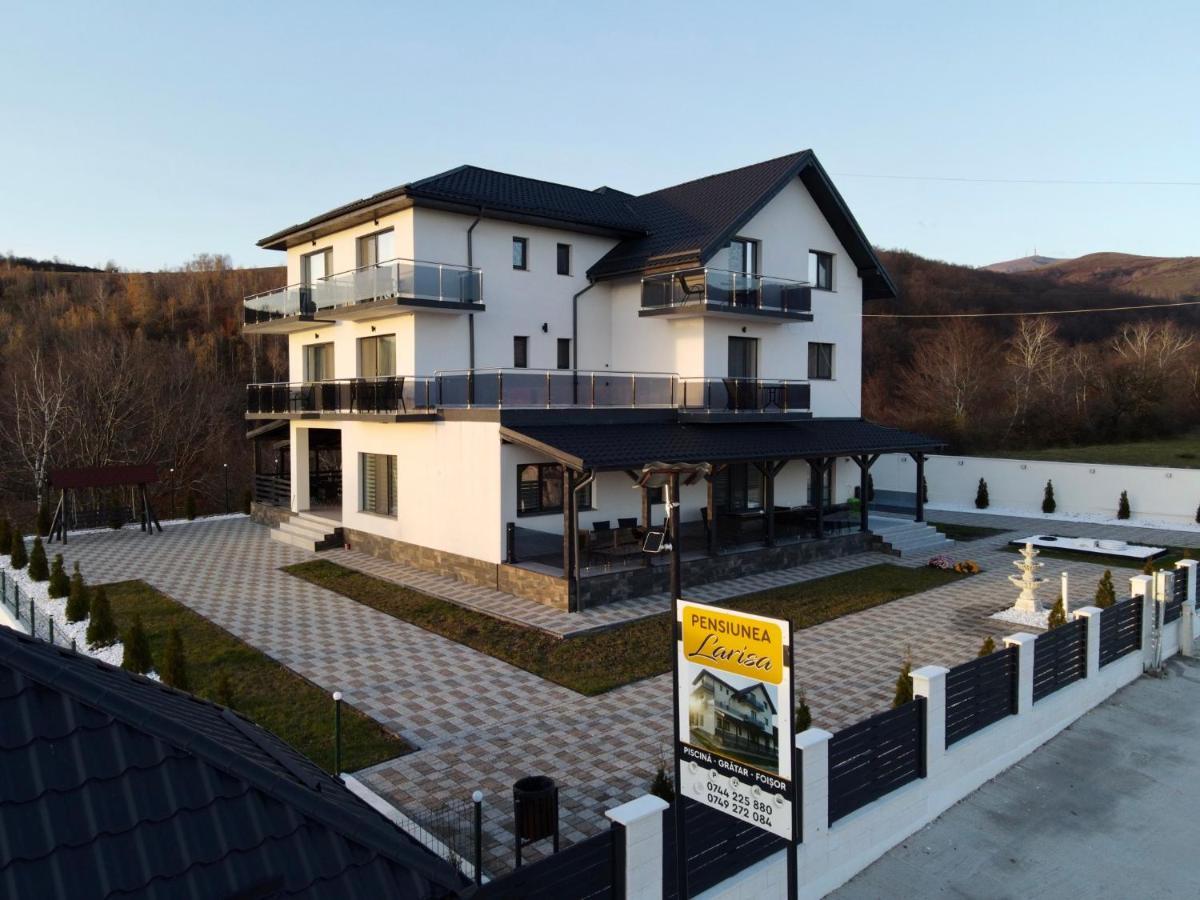 Casa De Vacanta Larisa Novaci-Străini Eksteriør billede