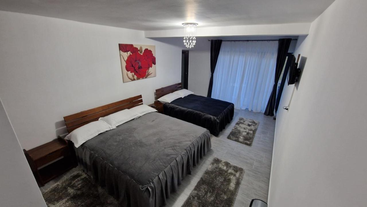 Casa De Vacanta Larisa Novaci-Străini Eksteriør billede